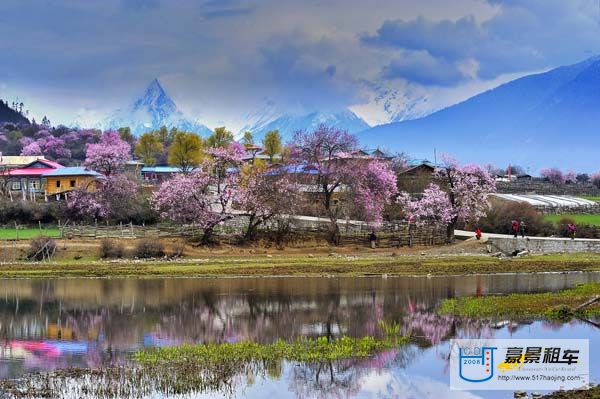 波密5桃花溝風(fēng)景區(qū).jpg