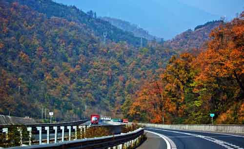 秋游正當(dāng)時！成都租車旅游選哪一條？